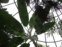 [Hier fehlt das Bild...]