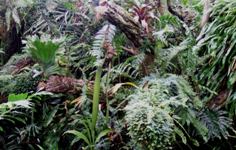 [Hier fehlt das Bild...]