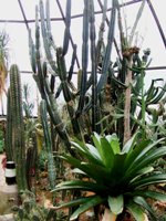 [Hier fehlt das Bild...]