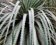 [Hier fehlt das Bild...]