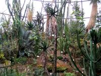 [Hier fehlt das Bild...]