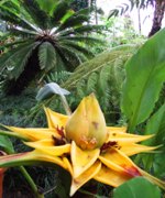 [Hier fehlt das Bild...]