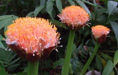 [Hier fehlt das Bild...]