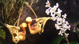 [Hier fehlt das Bild...]