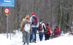 [Hier fehlt das Bild...]