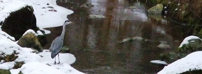 [Hier fehlt das Bild...]