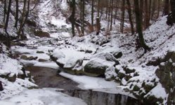 [Hier fehlt das Bild...]