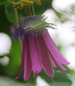 [Hier fehlt das Bild...]