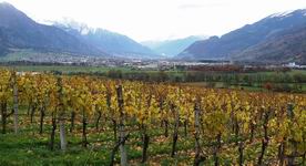 [Hier fehlt das Bild...]