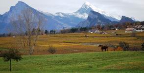 [Hier fehlt das Bild...]