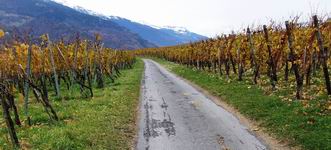 [Hier fehlt das Bild...]