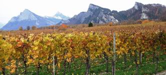 [Hier fehlt das Bild...]