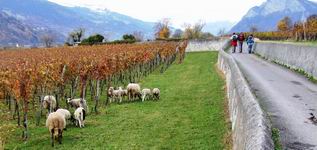 [Hier fehlt das Bild...]