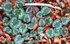 [Hier fehlt das Bild...]