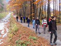 [Hier fehlt das Bild...]