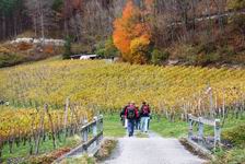 [Hier fehlt das Bild...]