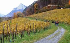 [Hier fehlt das Bild...]