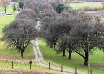 [Hier fehlt das Bild...]