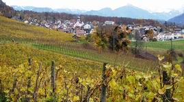 [Hier fehlt das Bild...]