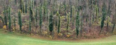 [Hier fehlt das Bild...]