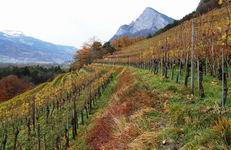 [Hier fehlt das Bild...]