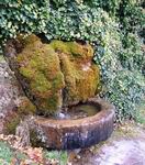 [Hier fehlt das Bild...]