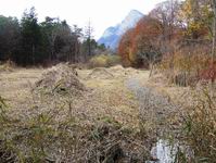 [Hier fehlt das Bild...]