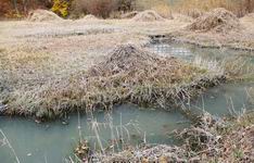 [Hier fehlt das Bild...]