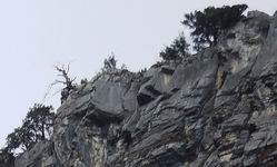 [Hier fehlt das Bild...]