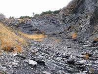 [Hier fehlt das Bild...]