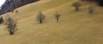 [Hier fehlt das Bild...]