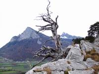 [Hier fehlt das Bild...]