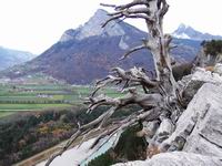 [Hier fehlt das Bild...]