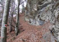 [Hier fehlt das Bild...]