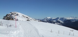 [Hier fehlt das Bild...]