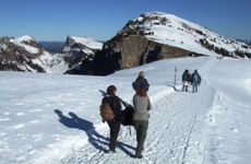 [Hier fehlt das Bild...]