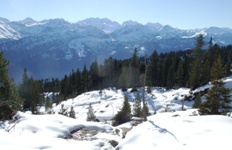 [Hier fehlt das Bild...]