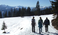 [Hier fehlt das Bild...]