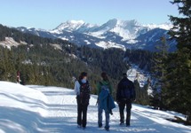 [Hier fehlt das Bild...]