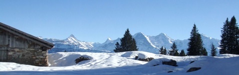 [Hier fehlt das Bild...]