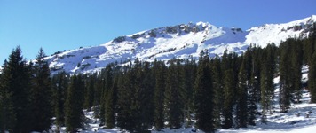 [Hier fehlt das Bild...]