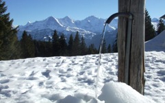 [Hier fehlt das Bild...]