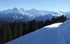 [Hier fehlt das Bild...]