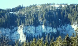 [Hier fehlt das Bild...]