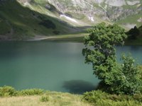 [Hier fehlt das Bild...]