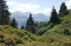 [Hier fehlt das Bild...]