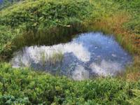 [Hier fehlt das Bild...]