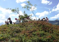 [Hier fehlt das Bild...]