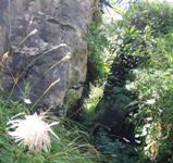 [Hier fehlt das Bild...]