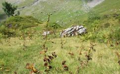 [Hier fehlt das Bild...]